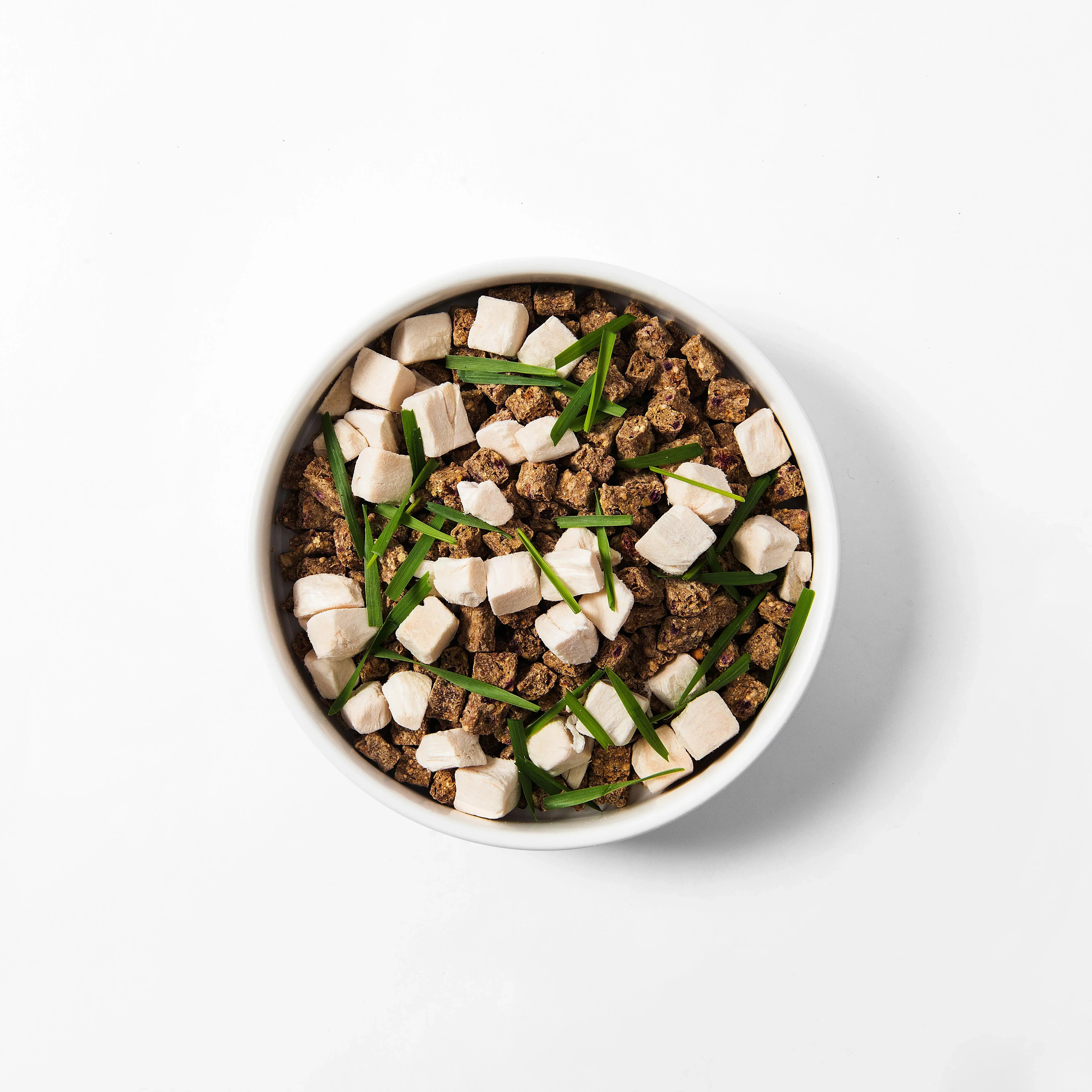 MICHU All-in-One Soil-Free Cat Grass Grow Kit with Australian Seed and Mulch, Made in Australia - Image 14