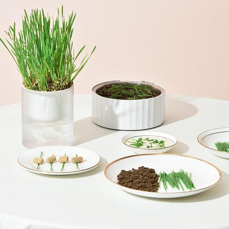 MICHU All-in-One Soil-Free Cat Grass Grow Kit with Australian Seed and Mulch, Made in Australia - Image 16