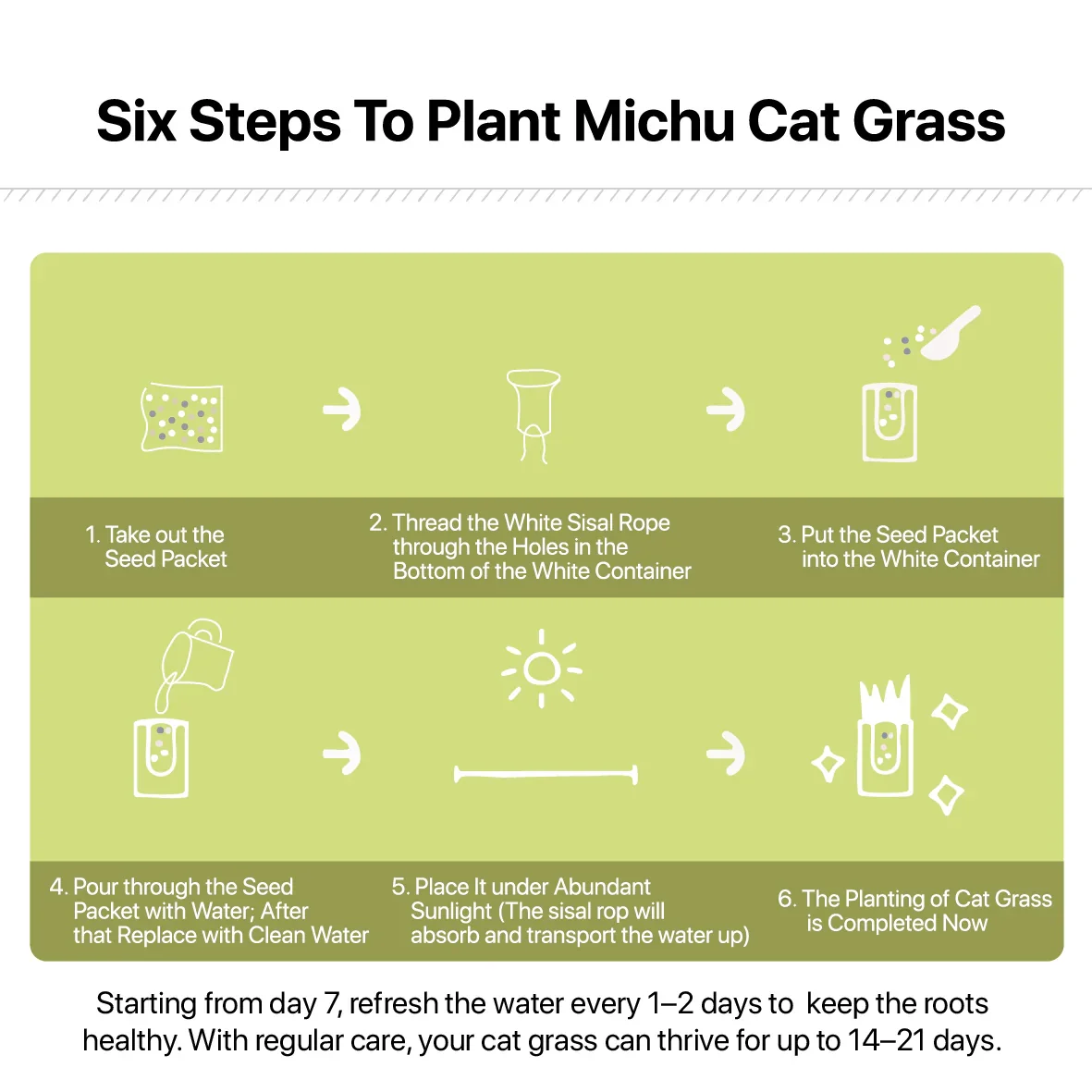 MICHU All-in-One Soil-Free Cat Grass Grow Kit with Australian Seed and Mulch, Made in Australia - Image 17
