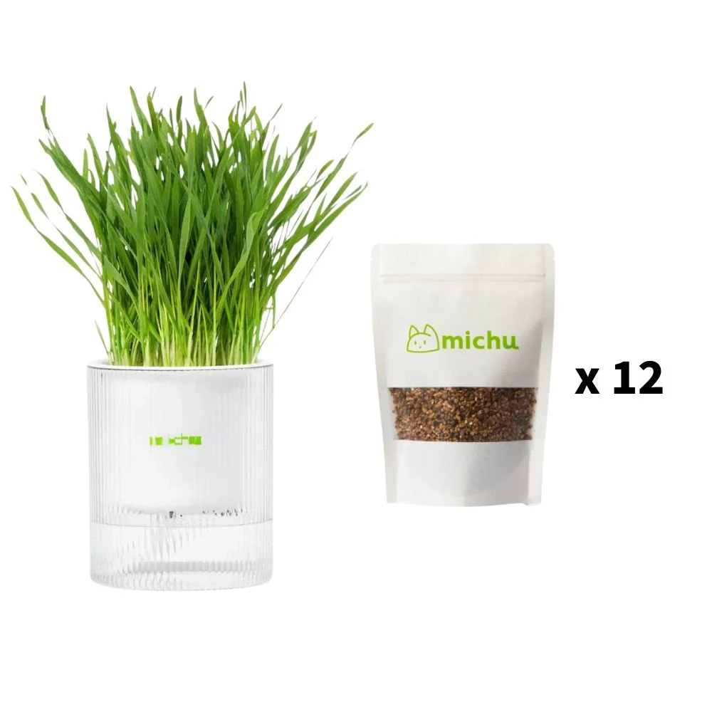 MICHU All-in-One Soil-Free Cat Grass Grow Kit with Australian Seed and Mulch, Made in Australia - Image 22
