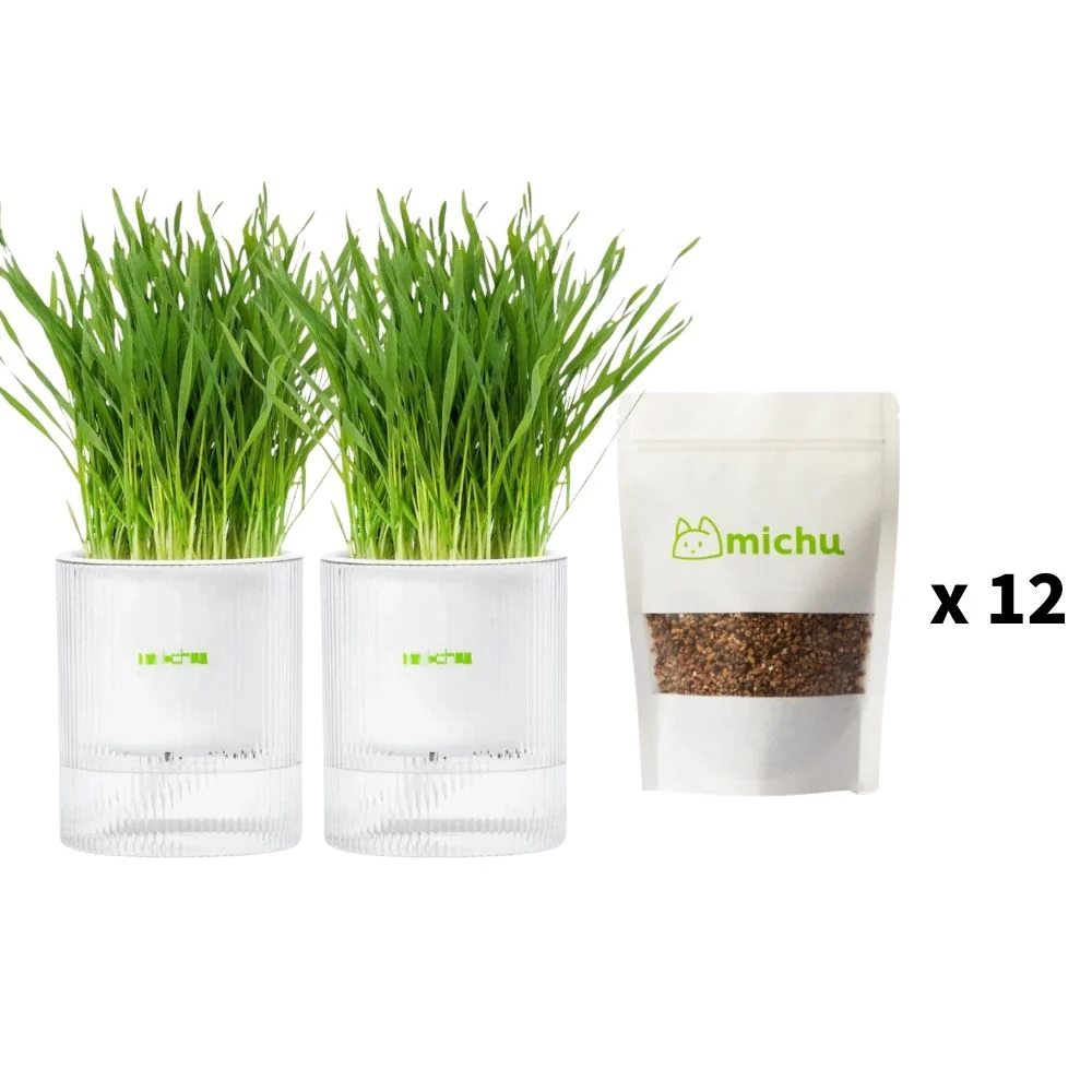MICHU All-in-One Soil-Free Cat Grass Grow Kit with Australian Seed and Mulch, Made in Australia - Image 23