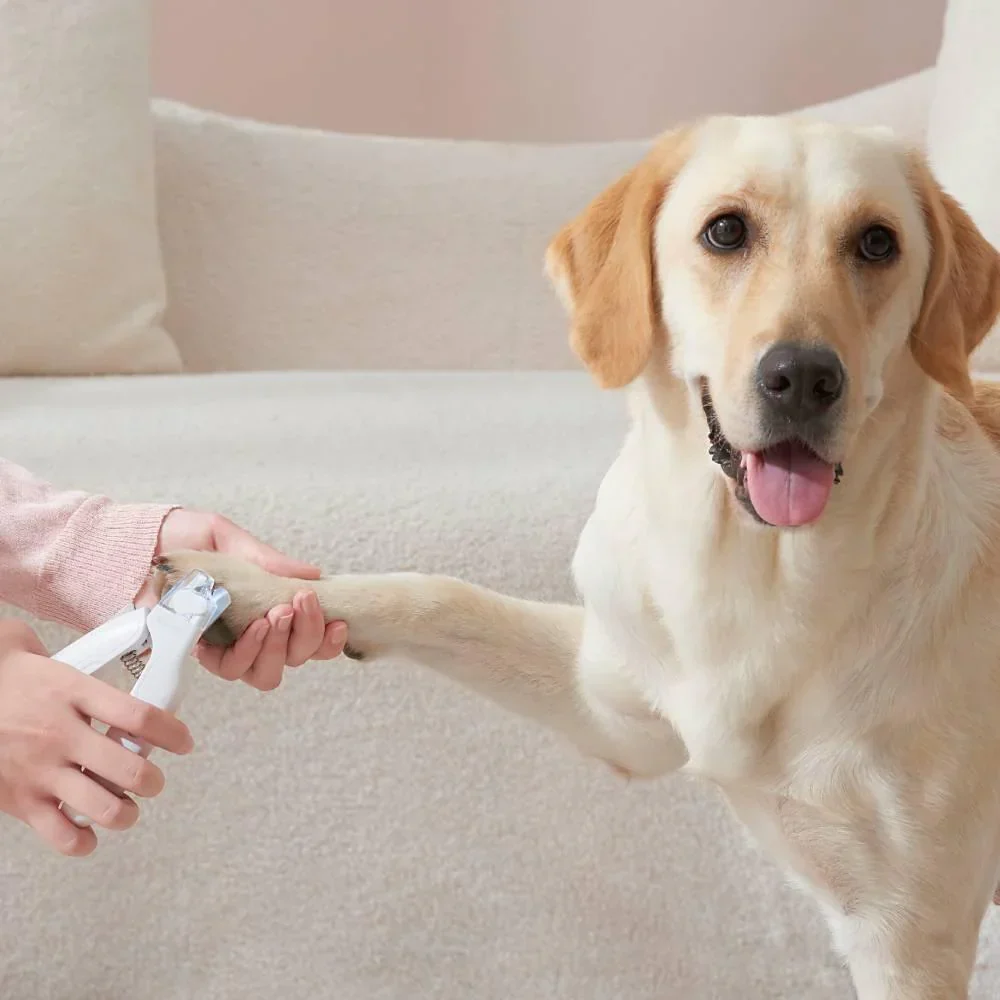 Michu Hygiene LED Light Cat/Dog Nail Clipper 2.0 Version - Image 8