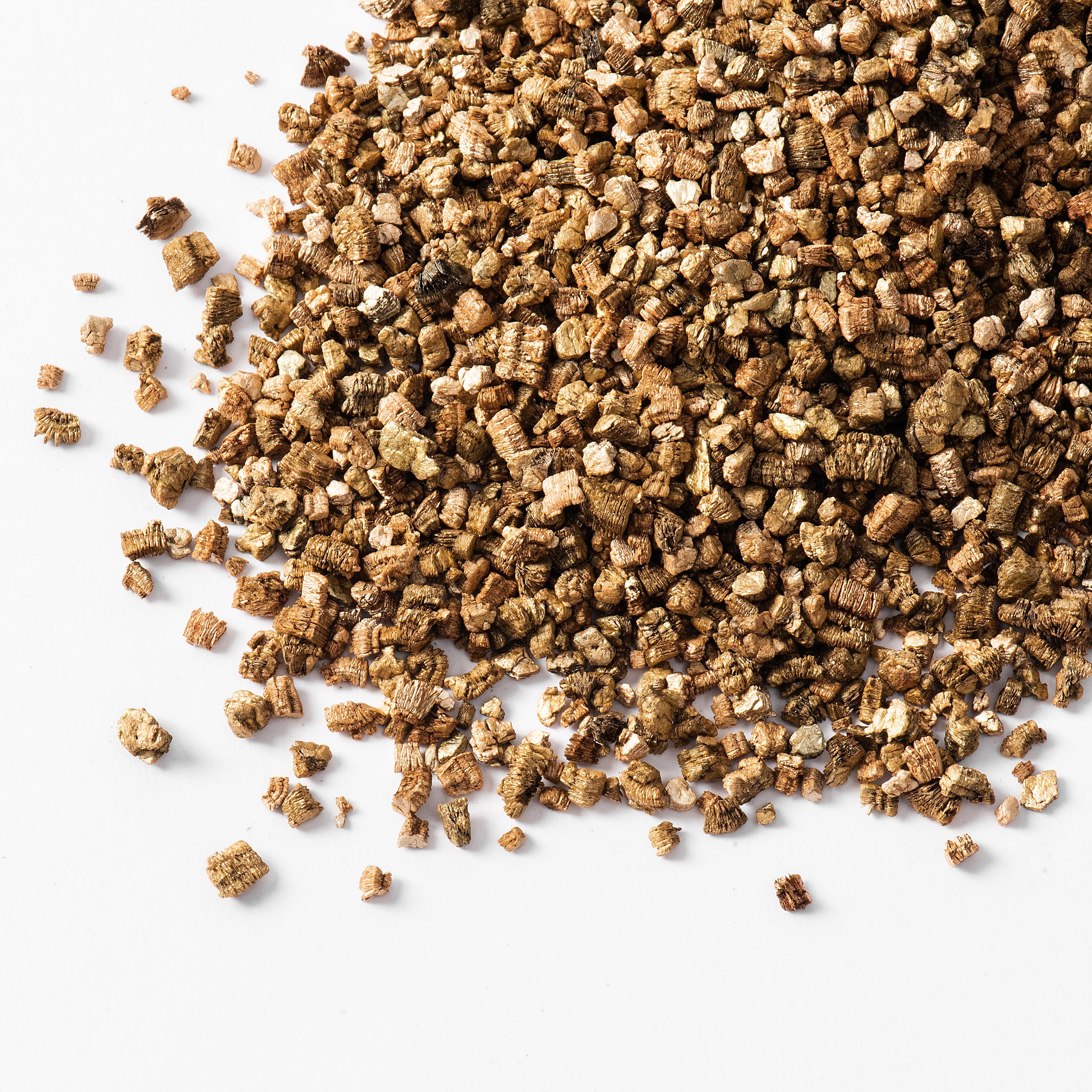 Michu Cat Grass Seed Replacement Pack - The Ultimate Solution for Lush and Healthy Cat Grass Growth in Australia - Image 12