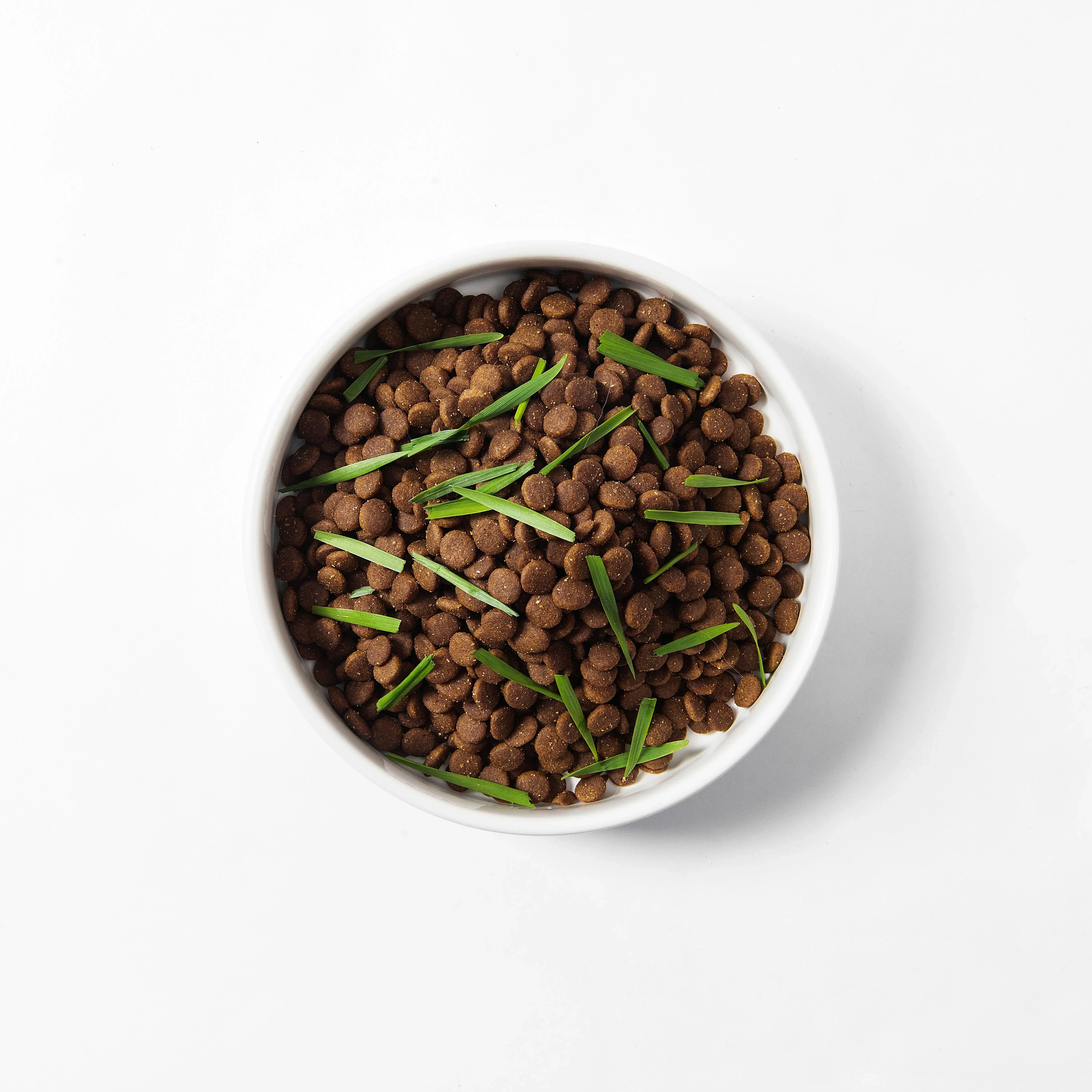 MICHU All-in-One Soil-Free Cat Grass Grow Kit with Australian Seed and Mulch, Made in Australia - Image 13