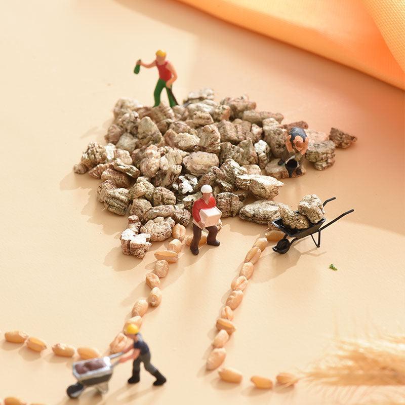 Michu Cat Grass Seed Replacement Pack - The Ultimate Solution for Lush and Healthy Cat Grass Growth in Australia - Image 3