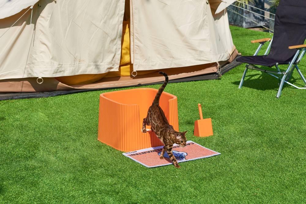 Michu XXL Coral Deluxe Cat Litter Box - Spacious Design - Image 7