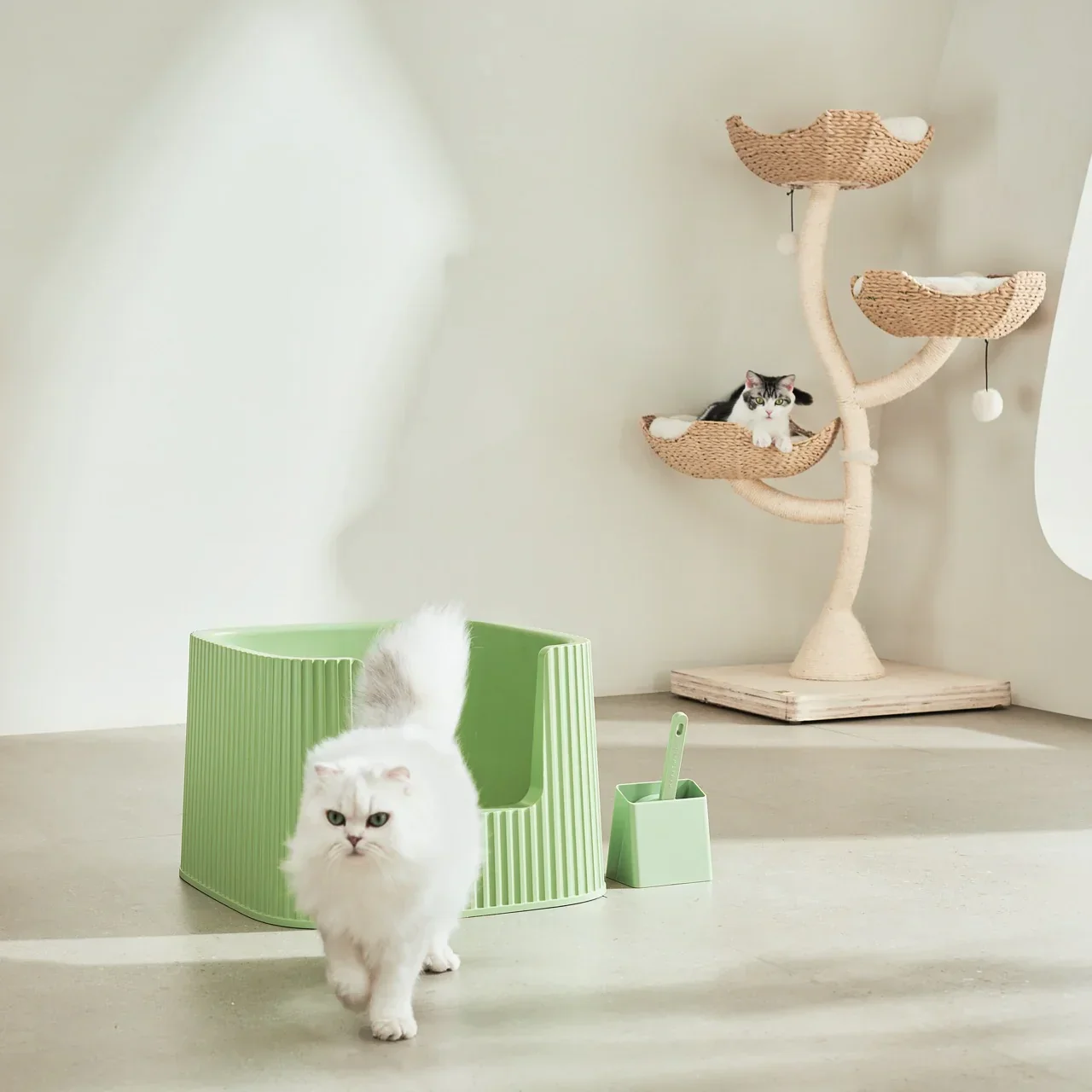 Michu XXL Sage Deluxe Cat Litter Box - Spacious Design - Image 4