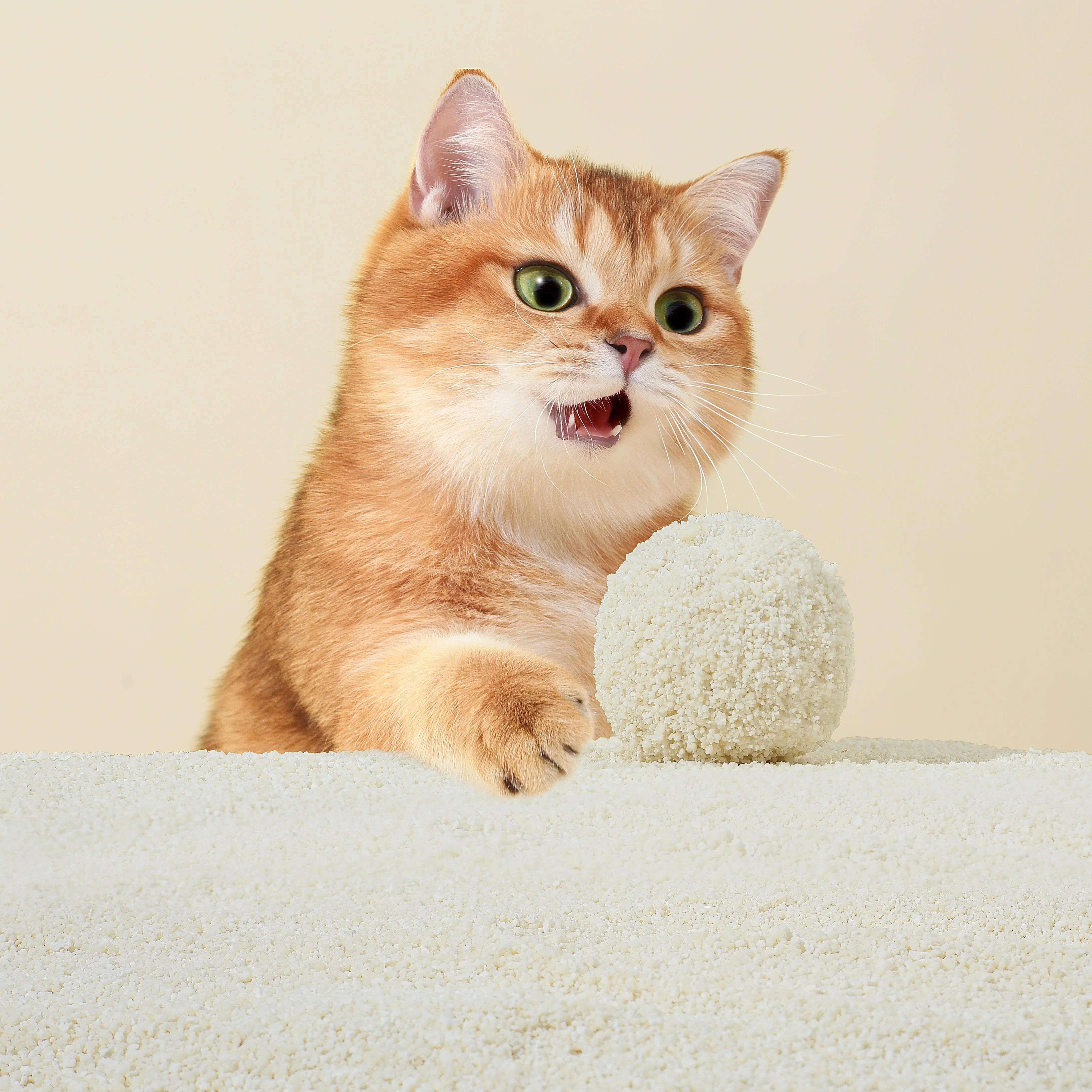 Michu Wonder Litter - Plant-Based & Automatic-Box Friendly 2.5kg/6L - Image 5