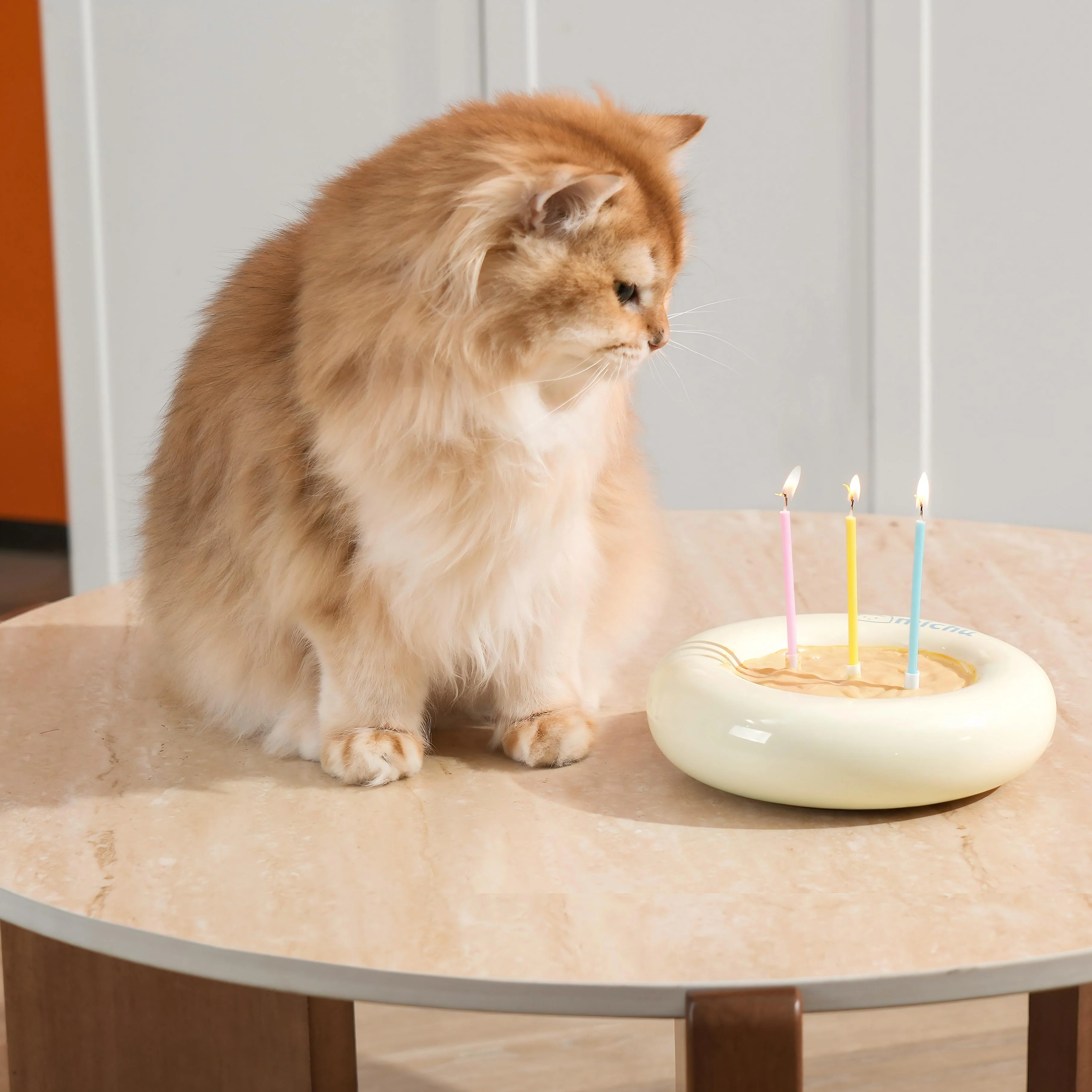 Michu Bagel Ceramic Cat Bowl – Anti-Whisker Wide Shallow Cat Food Bowl | 6 Colours - Image 15