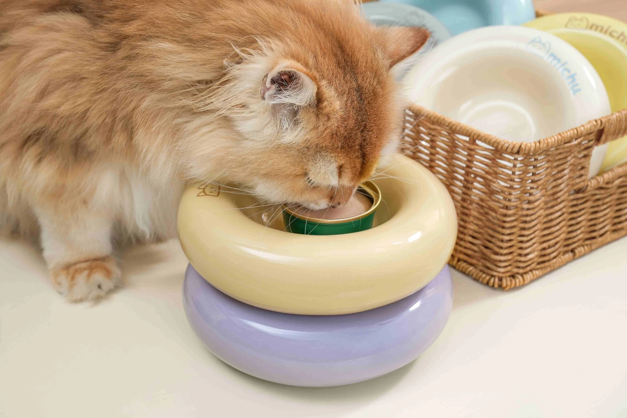 Michu Bagel Ceramic Cat Bowl – Anti-Whisker Wide Shallow Cat Food Bowl | 6 Colours - Image 4