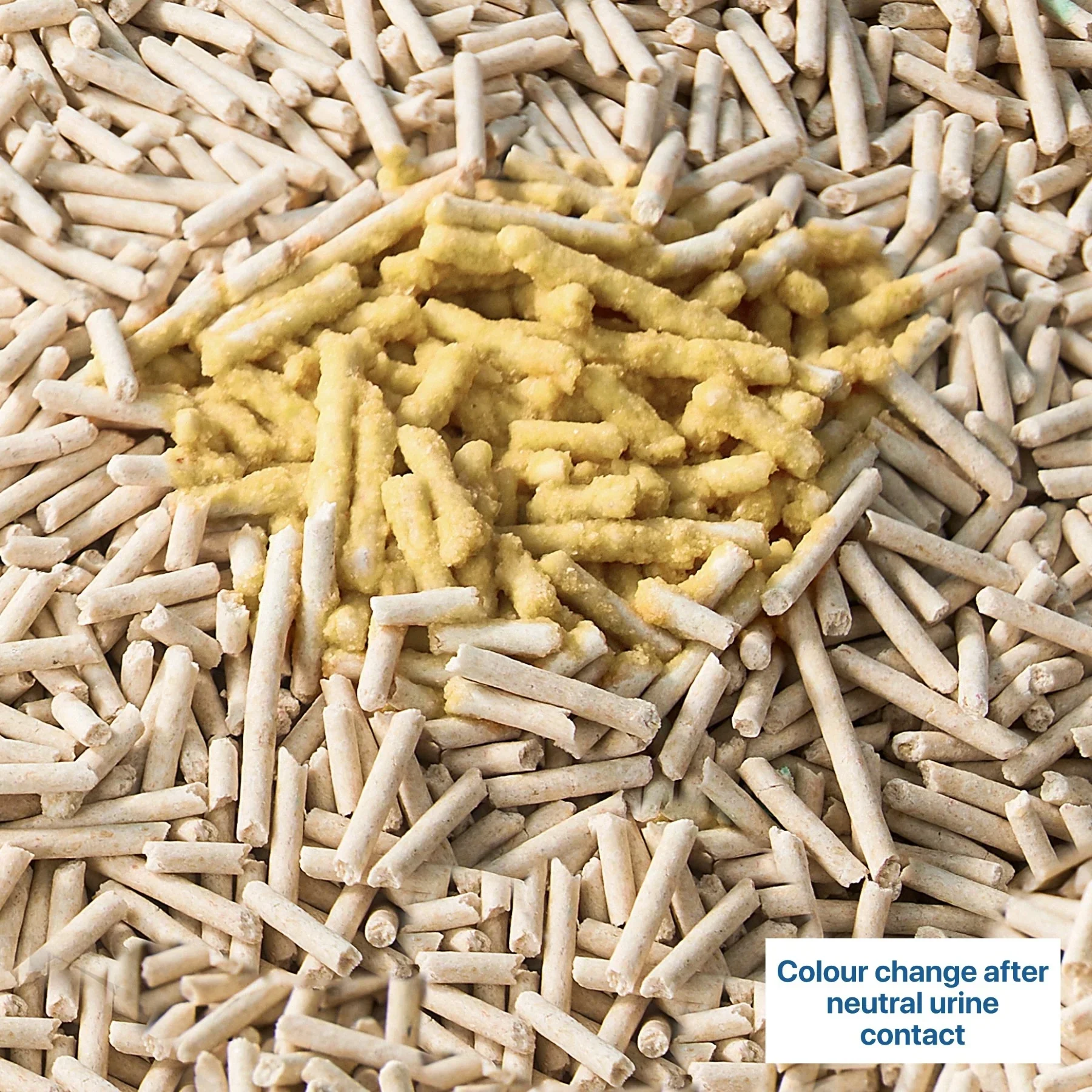 Michu Health Monitoring Tofu Cat Litter 2.5kg/6L - Complete pH Monitoring from Acidic to Alkaline - Image 10