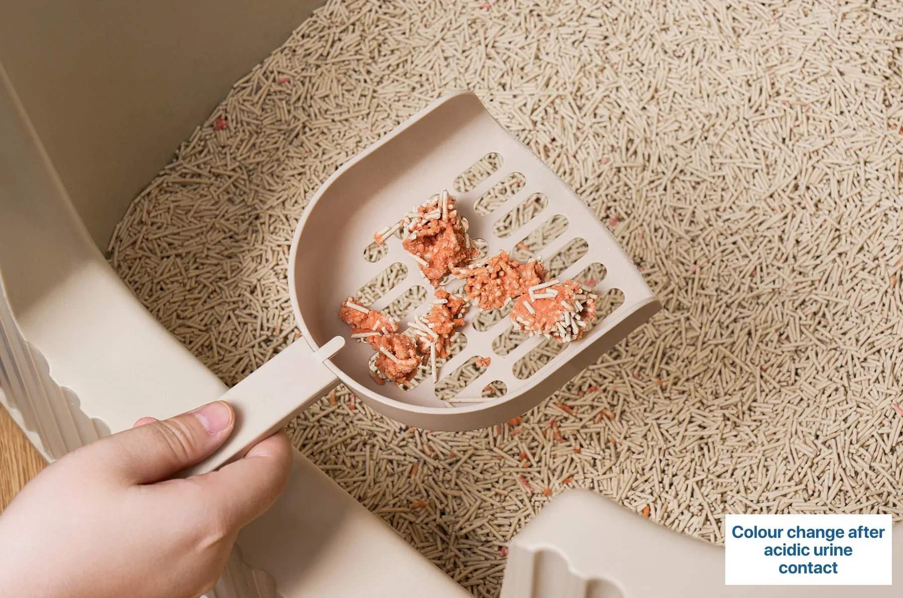 Michu Health Monitoring Tofu Cat Litter 2.5kg/6L - Complete pH Monitoring from Acidic to Alkaline - Image 11