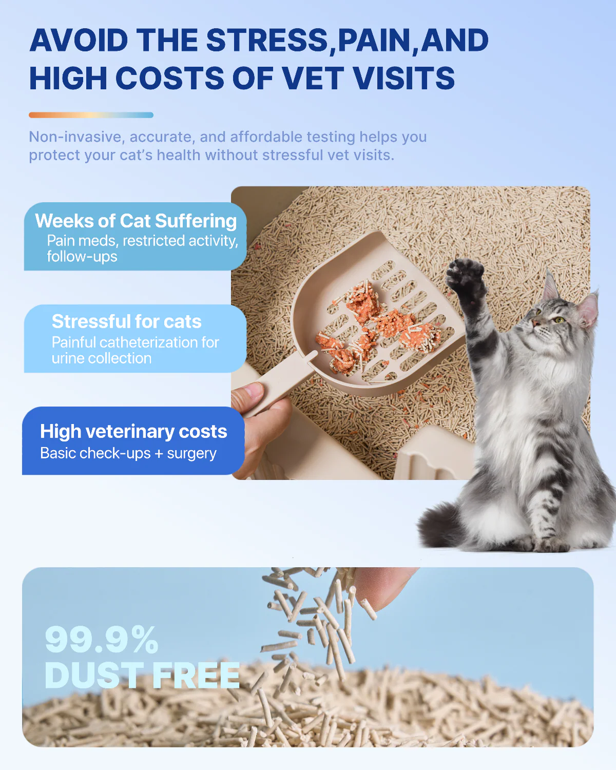 Michu Health Monitoring Tofu Cat Litter 2.5kg/6L - Complete pH Monitoring from Acidic to Alkaline - Image 3