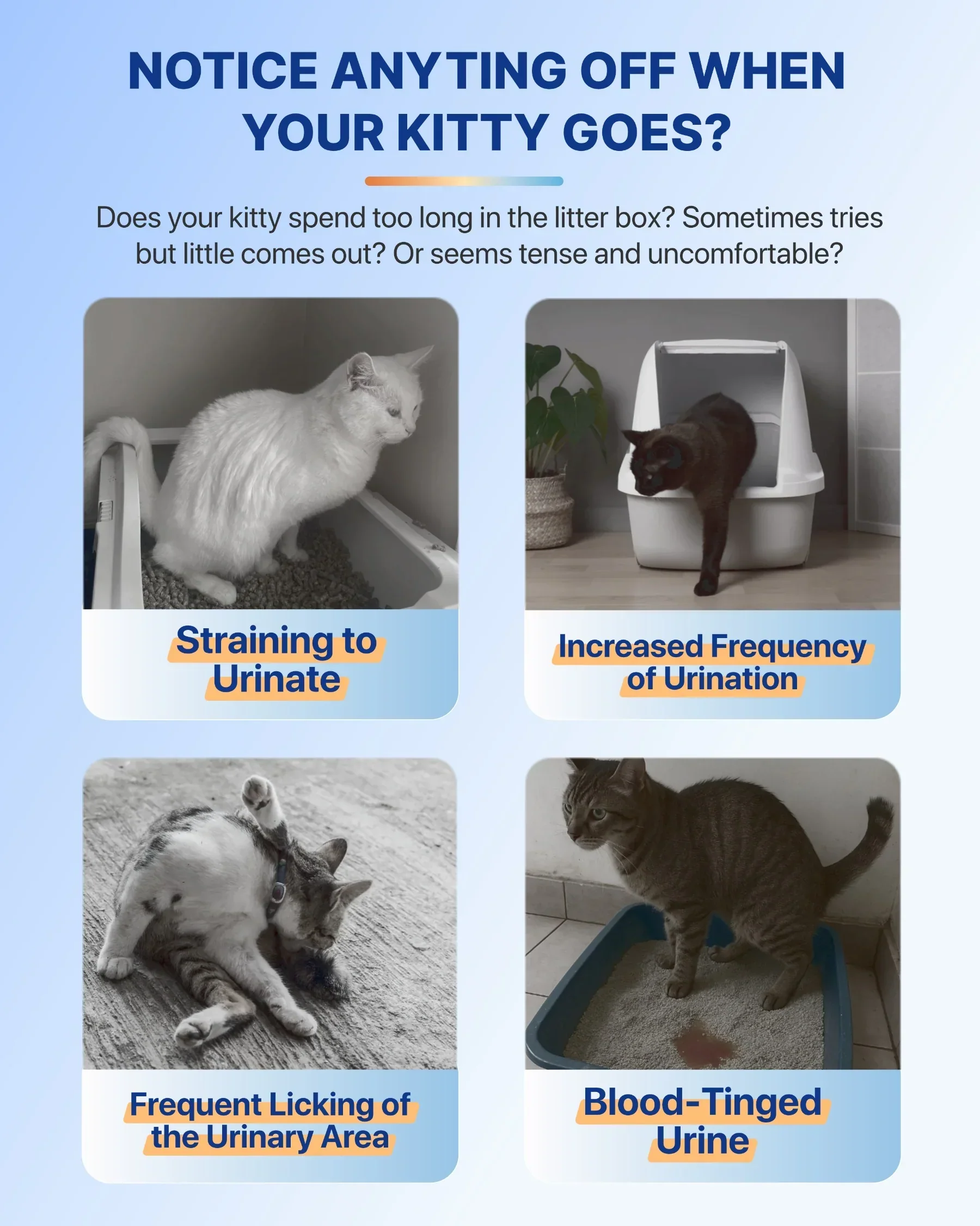 Michu Health Monitoring Tofu Cat Litter 2.5kg/6L - Complete pH Monitoring from Acidic to Alkaline - Image 7