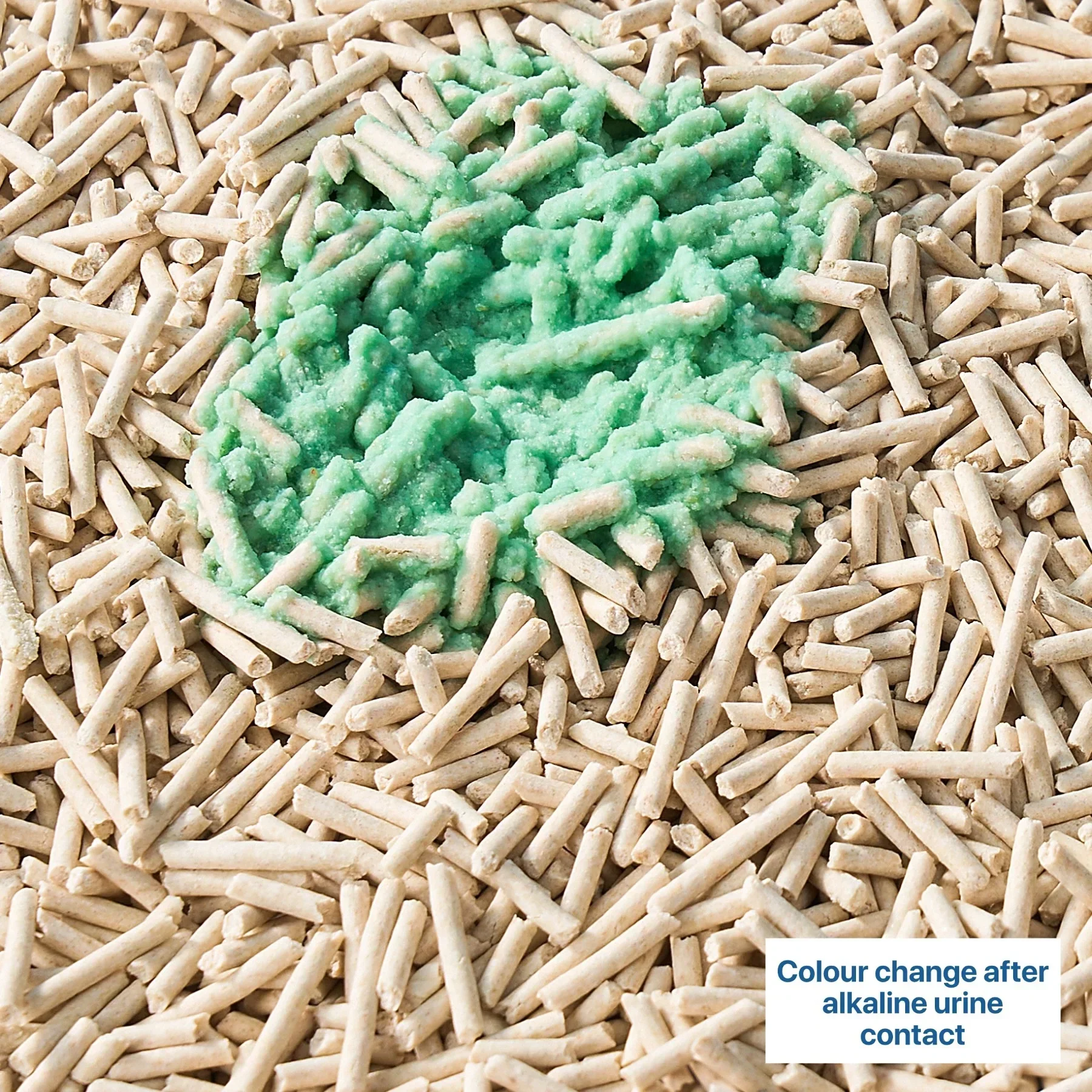 Michu Health Monitoring Tofu Cat Litter 2.5kg/6L - Complete pH Monitoring from Acidic to Alkaline - Image 9