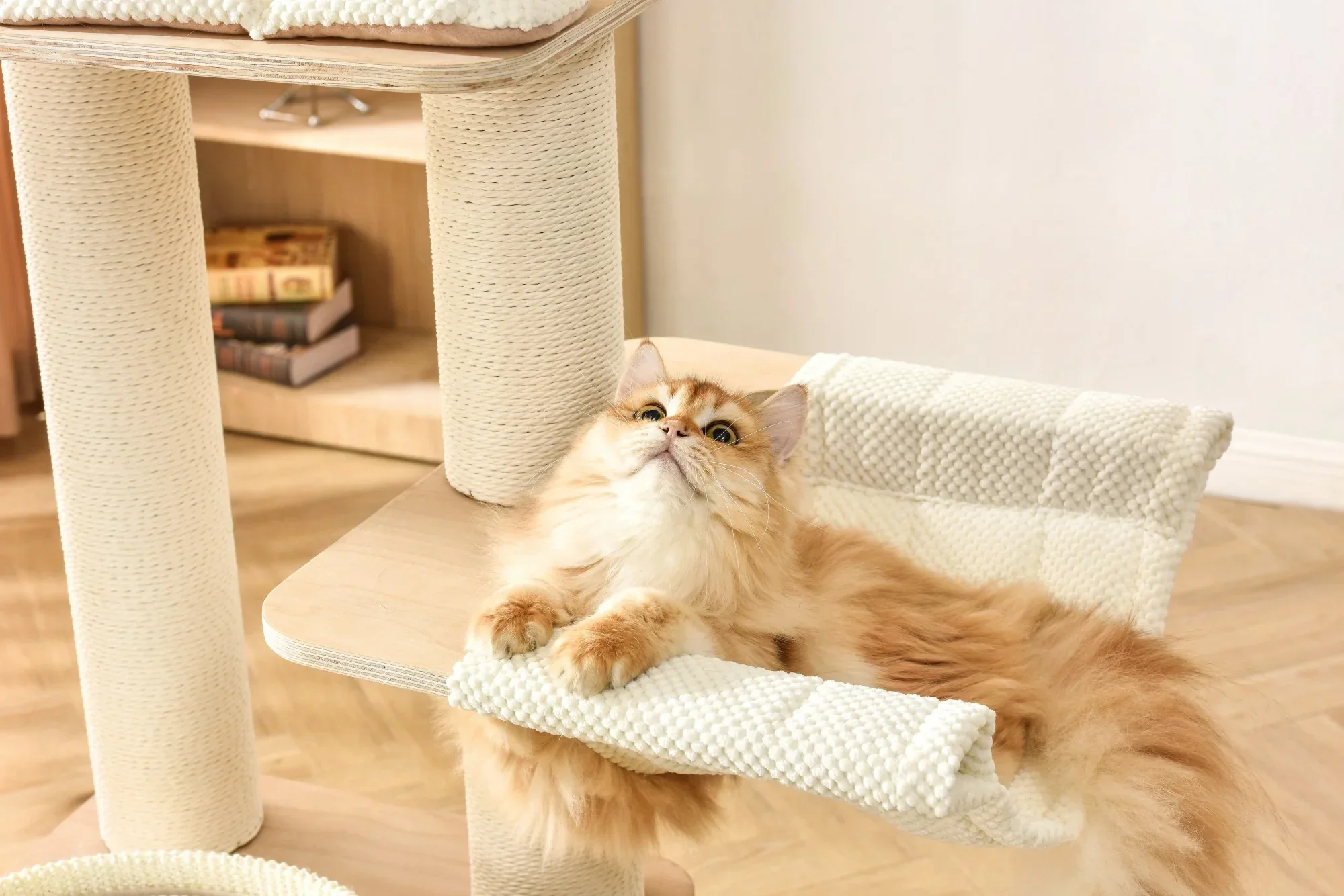 Michu Luna Multi-Layer Solid Wood Cat Nest Tree - Image 16