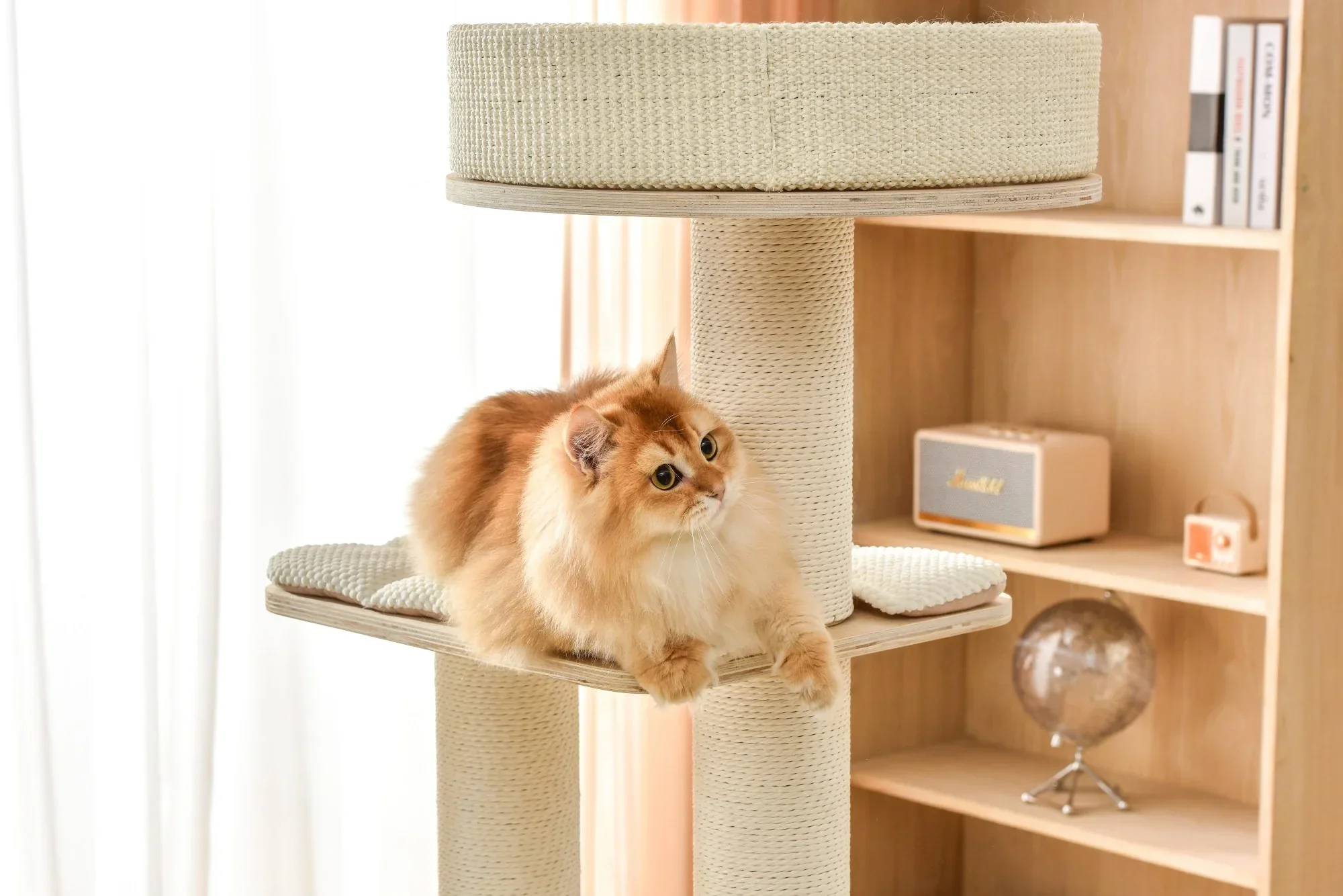 Michu Luna Multi-Layer Solid Wood Cat Nest Tree - Image 17