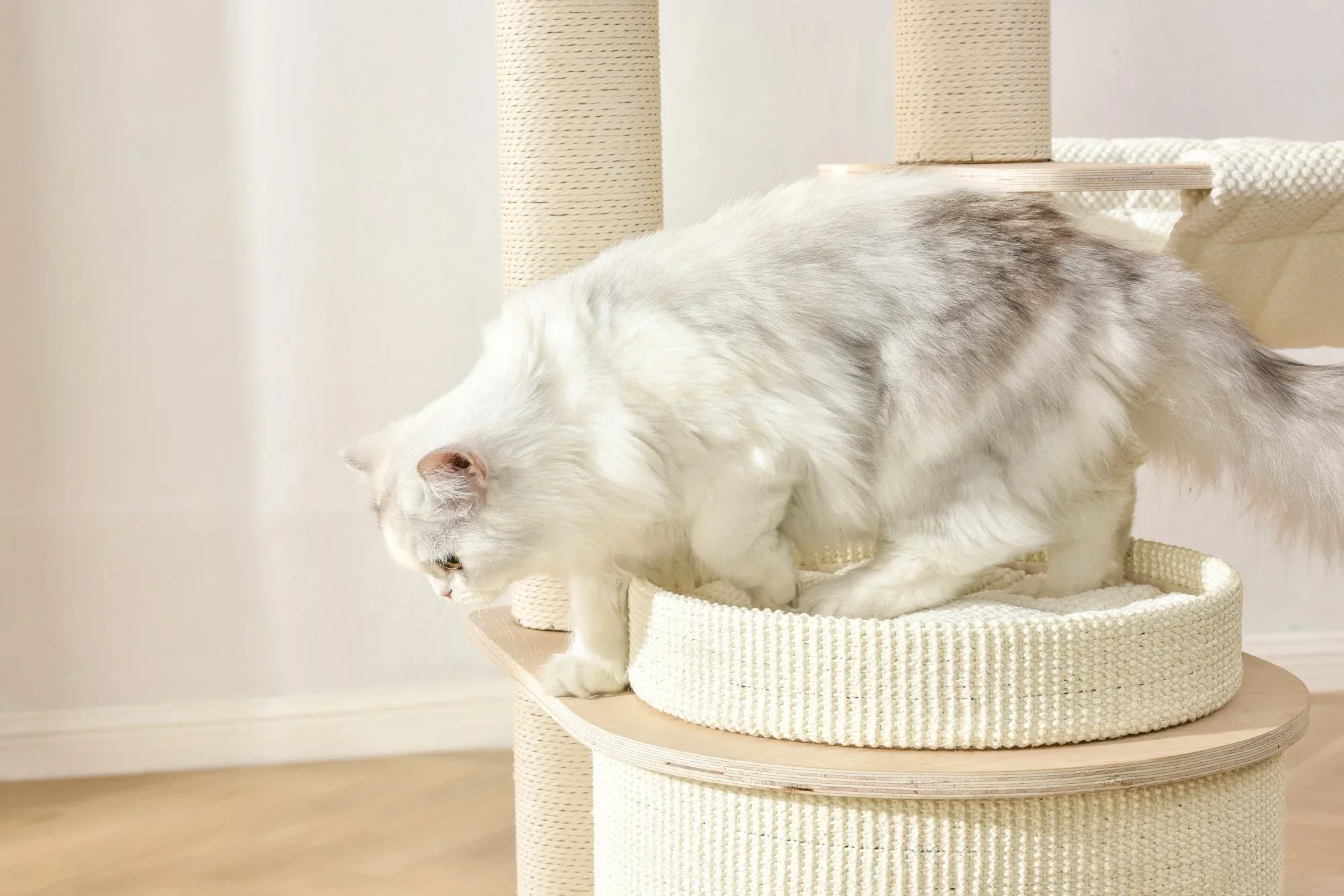 Michu Luna Multi-Layer Solid Wood Cat Nest Tree - Image 18