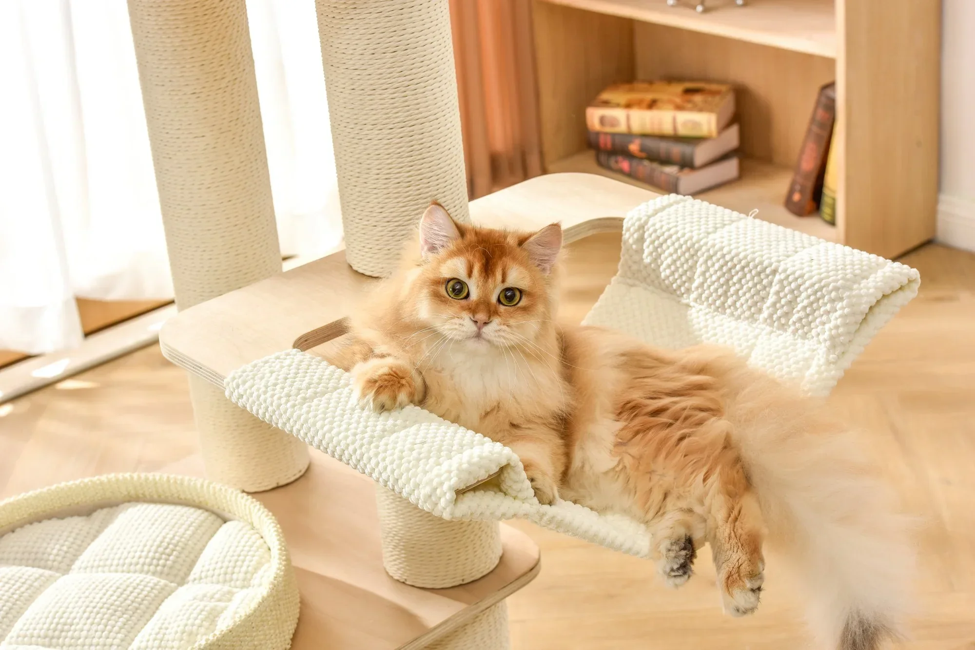 Michu Luna Multi-Layer Solid Wood Cat Nest Tree - Image 7