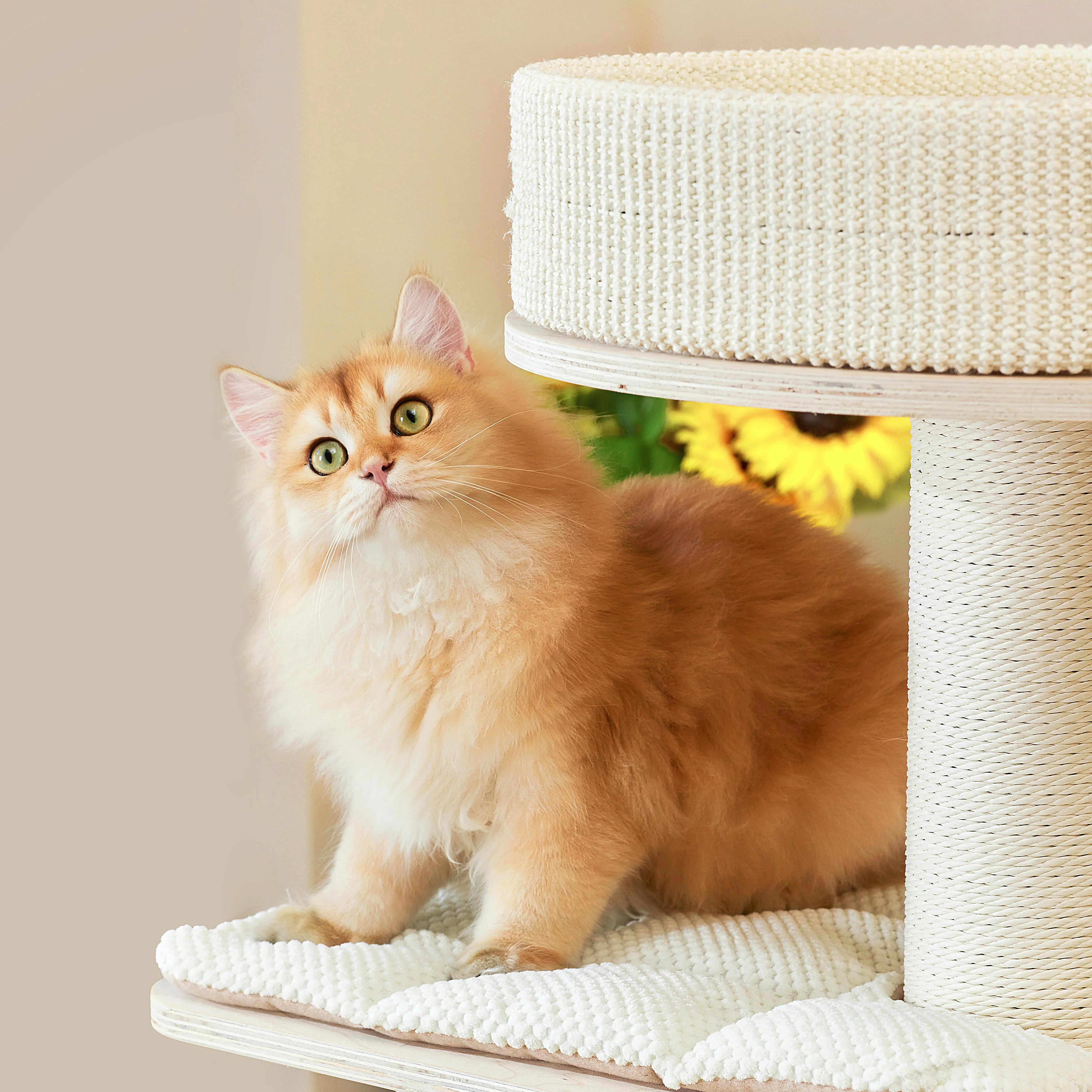 Michu Luna Multi-Layer Solid Wood Cat Nest Tree - Image 9