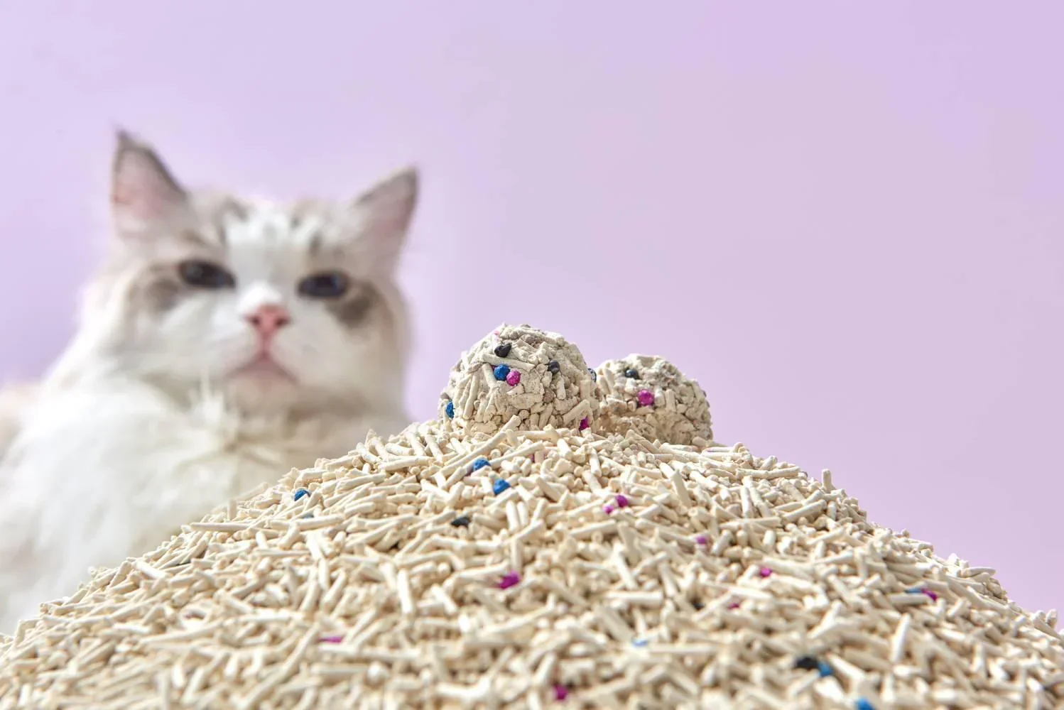 Michu Premium Mixed Tofu Cat Litter Pro Gen2 6L- Value Box 5 kg - Image 8