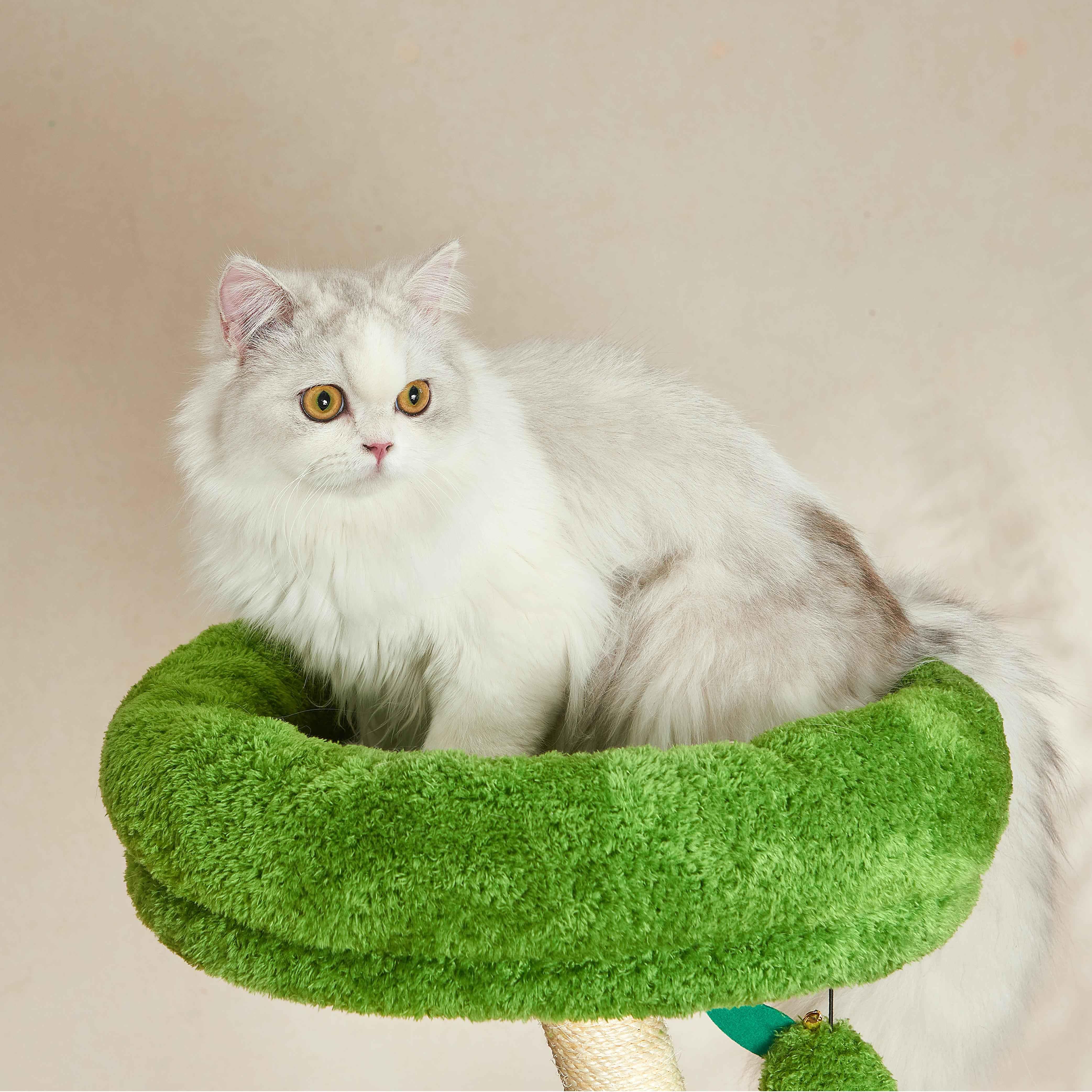 Michu Verde Solid Wooded Base Cat Tree - Image 12
