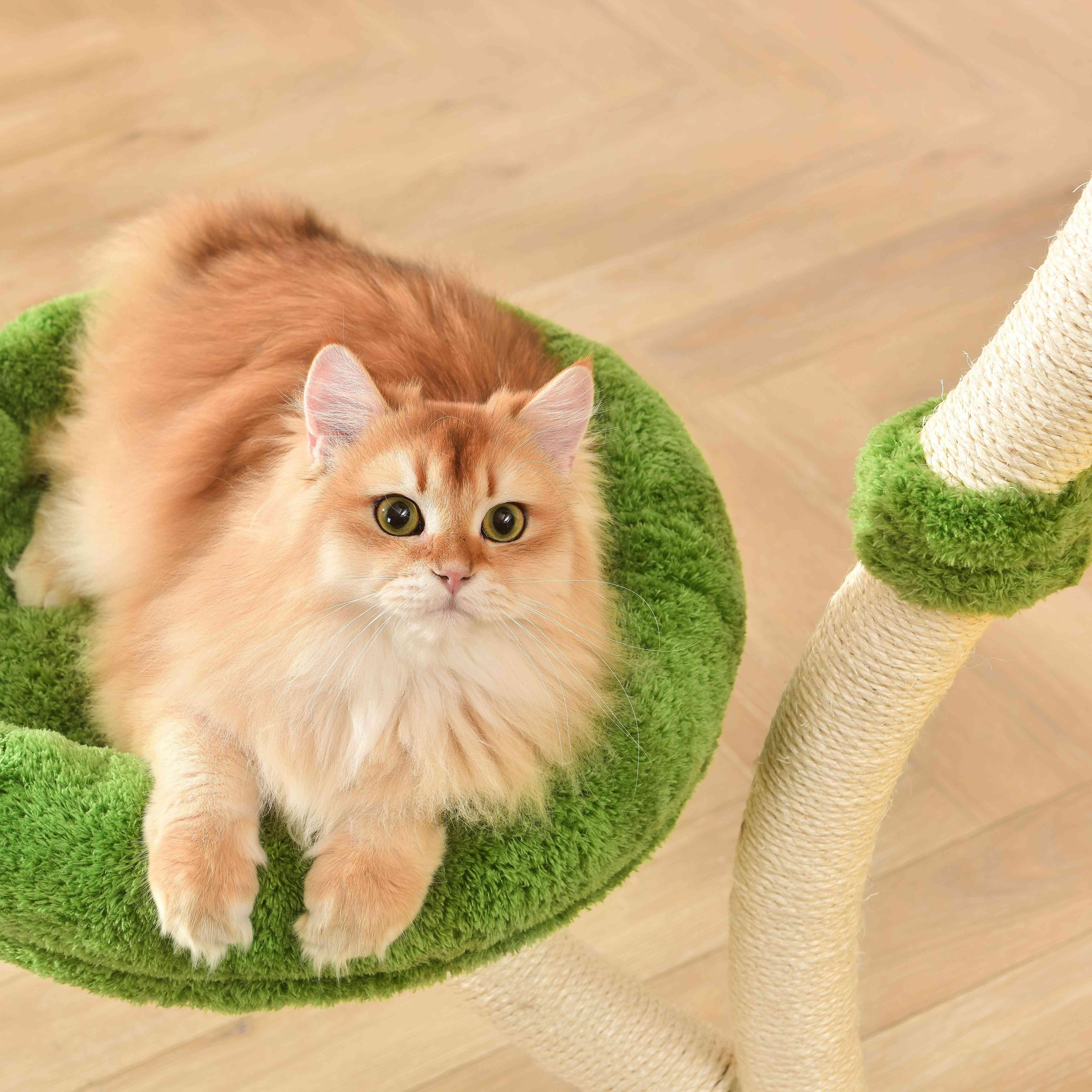 Michu Verde Solid Wooded Base Cat Tree - Image 14