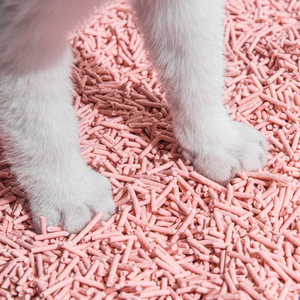 Michu Tofu Cat Litter Gen3 6L- Dust-Free and Natural Clumping Tofu-Based Formula for Easy Cleanup - Image 7