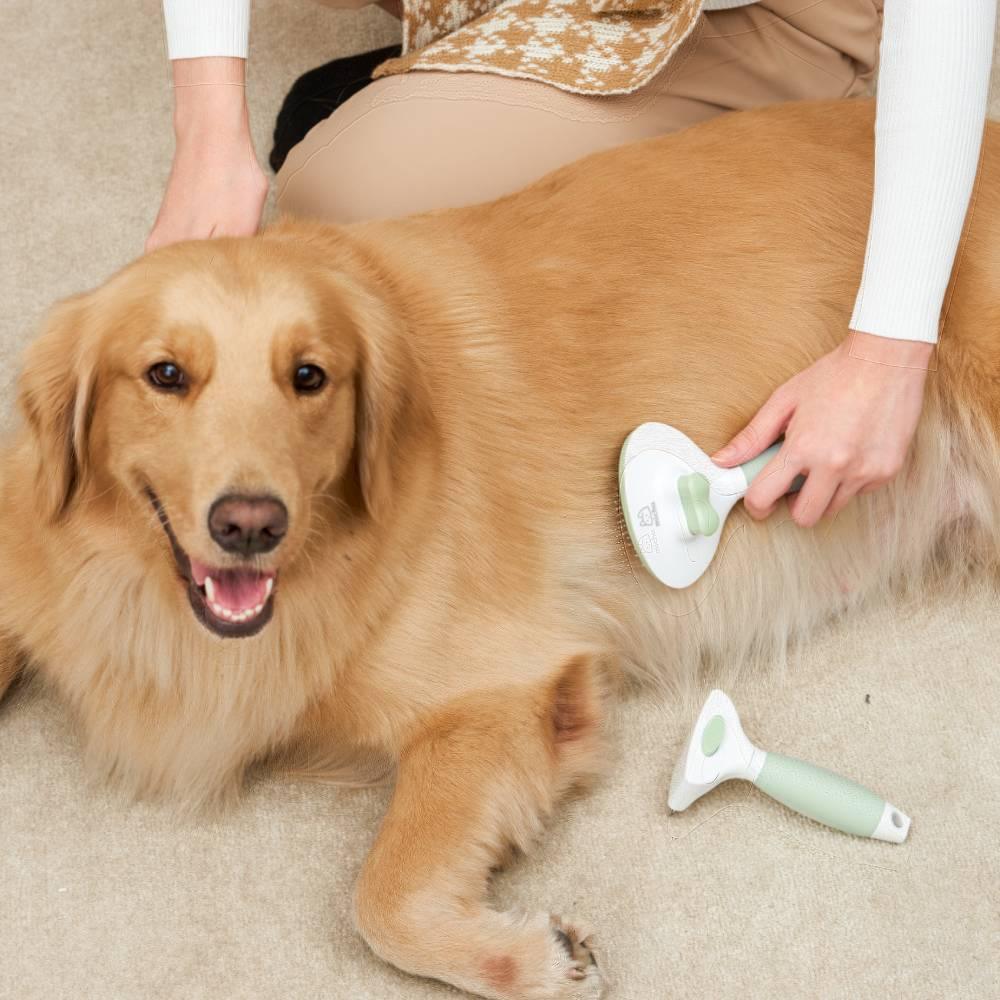 Michu Cream Round-Head Grooming Dog/Cat Brush - Perfect for Gentle Coat Care - Image 10