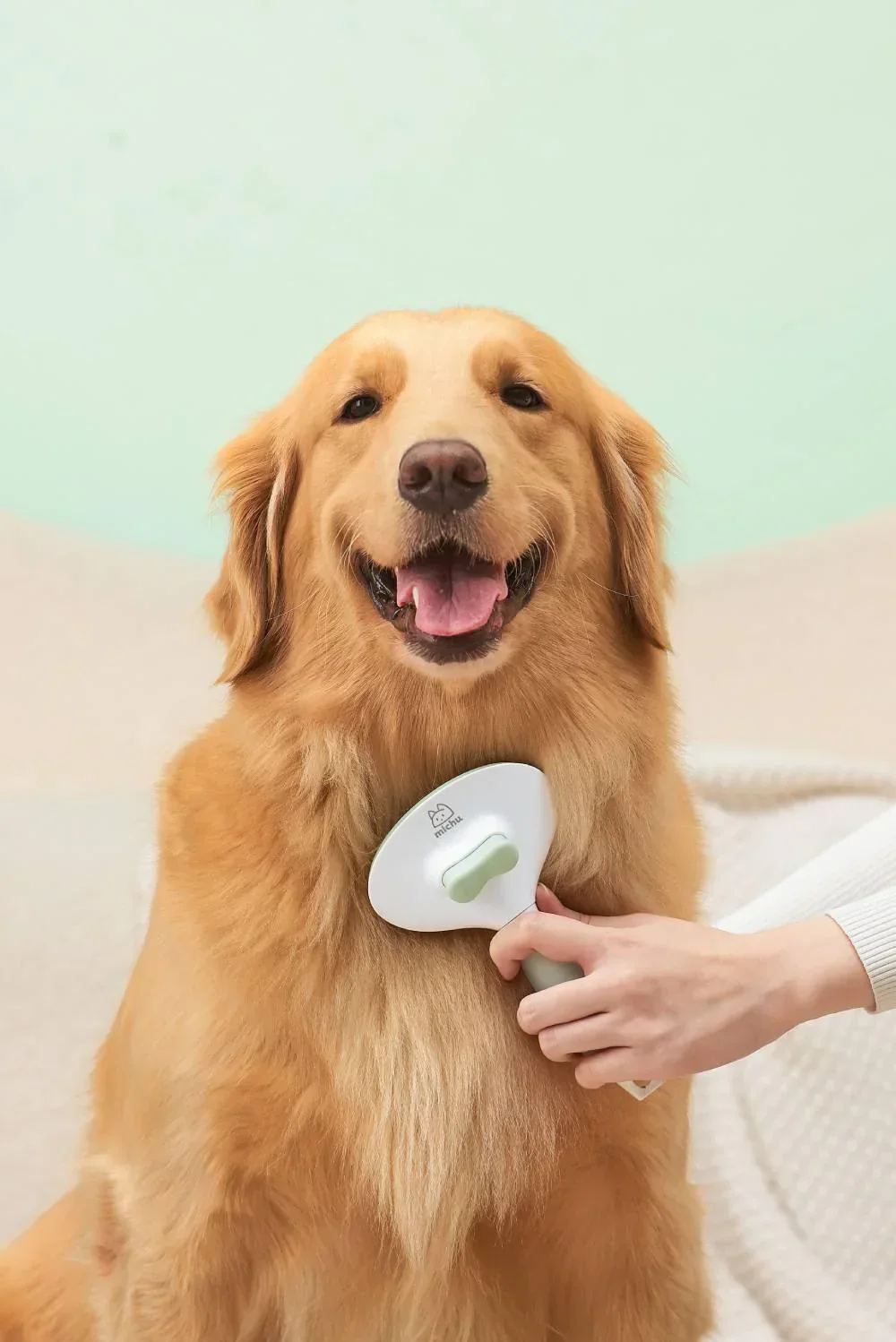 Michu Cream Round-Head Grooming Dog/Cat Brush - Perfect for Gentle Coat Care - Image 9